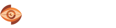 律元观察